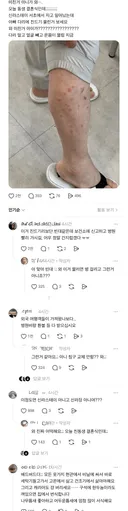 혐주의) 신라스테이 호텔 근황