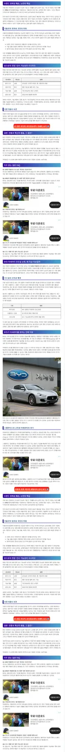 BYD 마세라티 인수설 진짜 이유