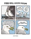 작품이 완결 났을 때 오타쿠들 특징 manhwa.