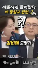 광화문 받들어총 조형물. 통일교 시공?.mp4