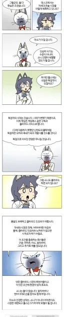 망조의 고양이 예측이 진짜 놀라운 이유.jpg
