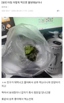"아침 이렇게 먹으면 불쌍해 보이냐?"