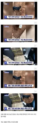주인 통수 치고 짭새한테 붙은 반려견