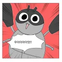 오 방송 팔로워 늘었다