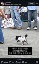 태극기 옷 입고 나온 강아지를 보고서도 정말 아무 생각이 안드세요?