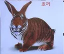 너희 호끼라고 알아?