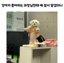 강아지 좋아하는 과장님한테 애 잠시 맡겼더니.JPG