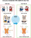 국내 연구진, ‘자폐증 핵심 증상 개선’ 뇌 물질 발견