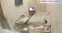 일본의 여자 형무소가 화제