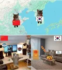 요즘 한중일 관계는 여기서 크게 벗어난 적이 없음.jpg