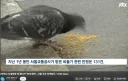 서울 합정역 이용하기 전에는 이글 보셔야 합니다