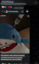 트위터에서 논란중인 아일릿 테러 모의방