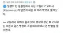 여자친구랑 싸우고 쫒겨난 고릴라