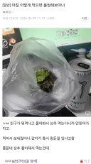 디시 상추 괴인 이후에 올라온 아침 식사 인증글들 ㅋㅋㅋㅋㅋ.jpg