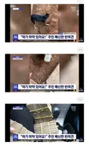 주인 통수 치고 경찰견으로 특채된 댕댕이