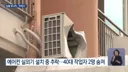 안타까움 주의) 실외기 설치 작업원 2명 추락사...