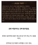명조) 엥 이거 공명 어빌리티 아니였어요??