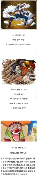루피가 해적왕이 되고 20년 뒤 상황