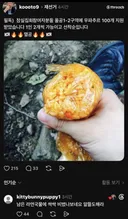 서울역 무료 급식소보다 못한 잠실 근황