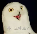 2026 피파를 대하는 나의 자세