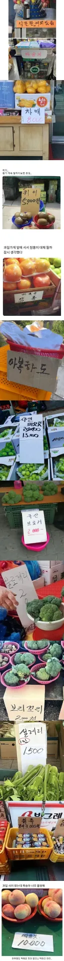 없는 게 없는 시골 시장 모음