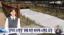 제주도 현황.