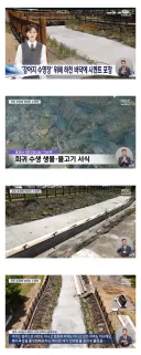 강아지 수영장 위해 하천을 시멘트로 매꿔버린 서귀포시.jpg