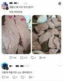 괜히 죽은 소.jpg