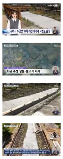 제주도 서귀포 근황