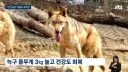 안전보강 오월드 재개장.jpg