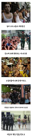 남미 교도소 생태계.jpg