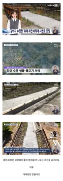 제주도 현황.jpg