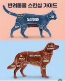 반려동물 스킨쉽 가이드.