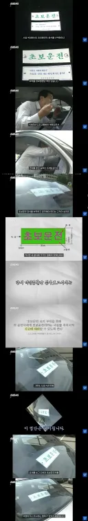 초보운전 의무 부착이 사라진 이유