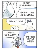 부기영화가 말하는 집값이 비싼 이유
