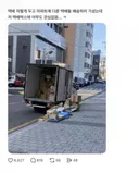 외국인이 봐도 독도는 한국땅인 이유
