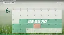 러브버그 출현 일정표