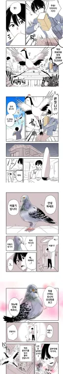 뭔지 모르겠는.manwha