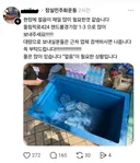 물은 많으니 이제는 얼음 보내달라는 잠실폭식운동