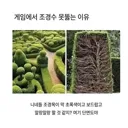 게임에서 나무 덤불 못넘어가는 이유