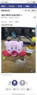 오늘 새벽 미쳐버린 미주갤러