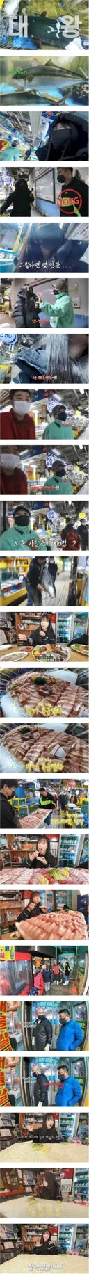 기름진 대방어 10kg 혼자서 다먹는 쯔양