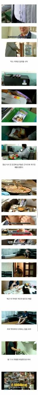 현실판 모치즈키양