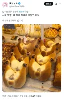 새벽 3시니까 귀하게 자란척하는 유게이들이 이런걸 봐야겠지