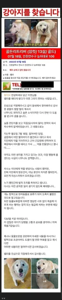 당근 사라진 골댕이의 결말