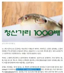 복어독에 대한 잘못된 상식