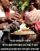 성능 확실한 기우제