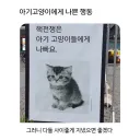 "귀여운 반전시위 포스터."