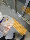 너희들 월드컵에 관심없다며!