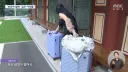 부산 불교 근황